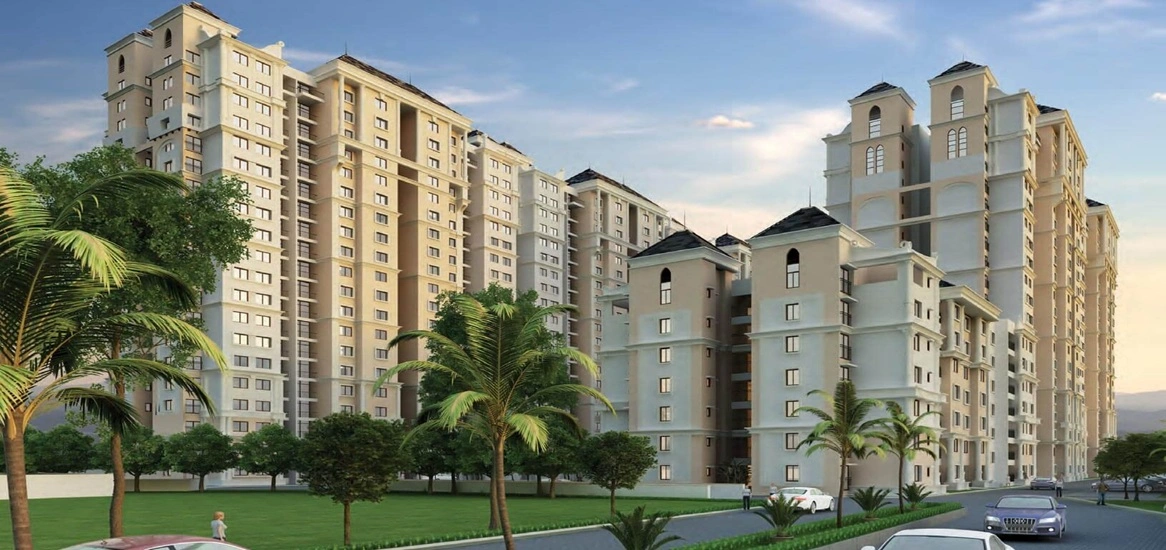 Purva Silver Sky Banner